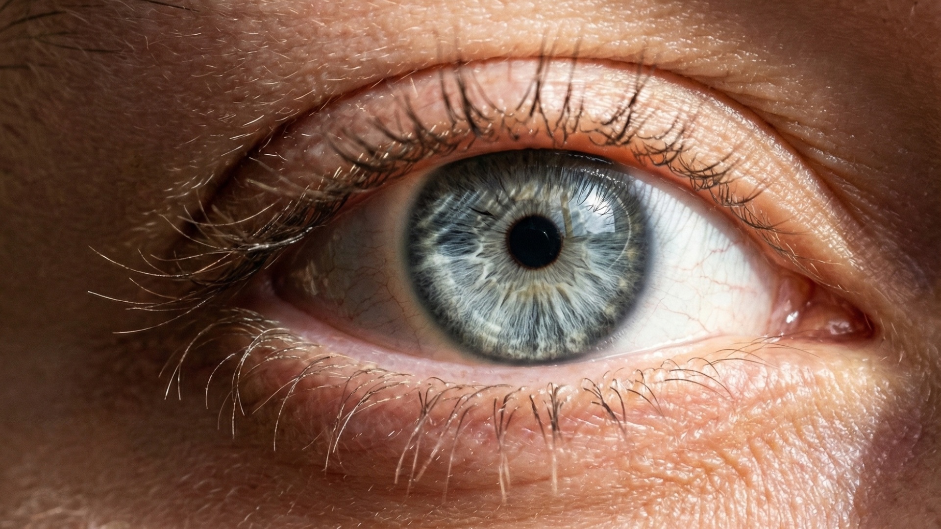 Emily Design Portfolio